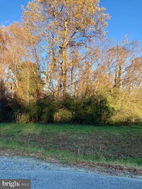 0 Shingle Hill unit VAWE2010132, Kinsale, VA 22488 - photo 3