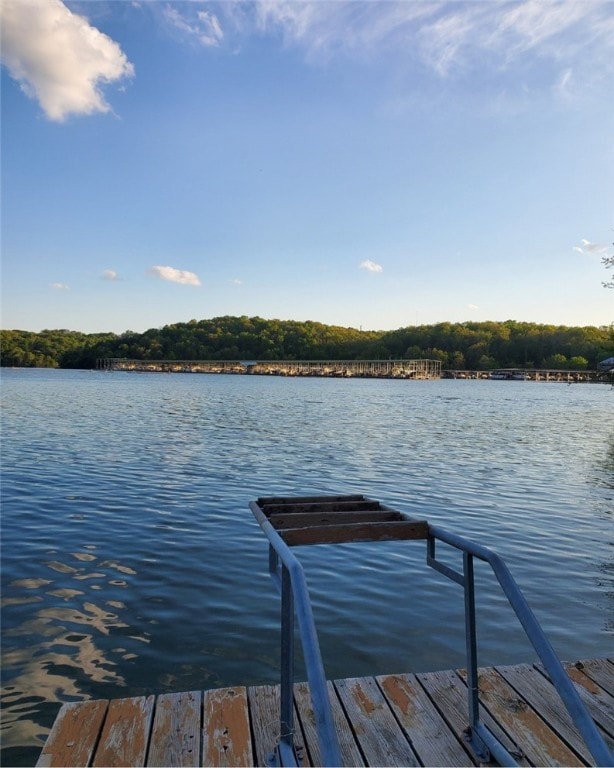 swim platform