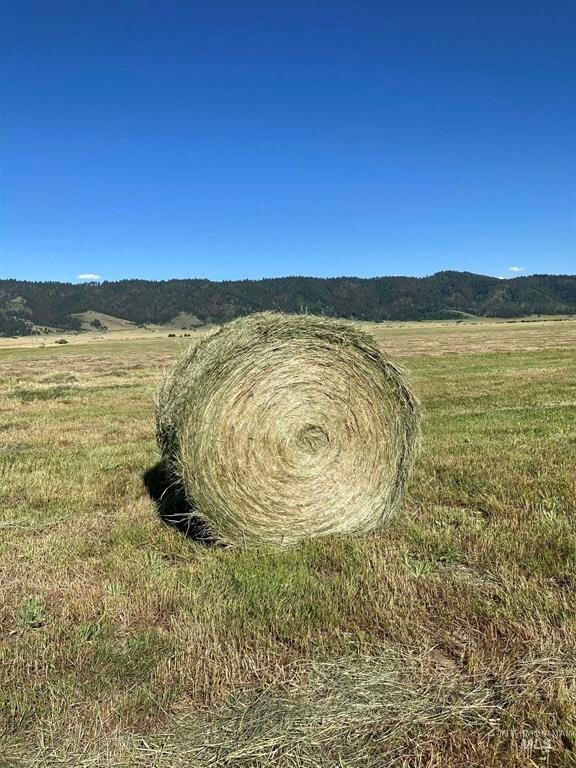 Pasture land