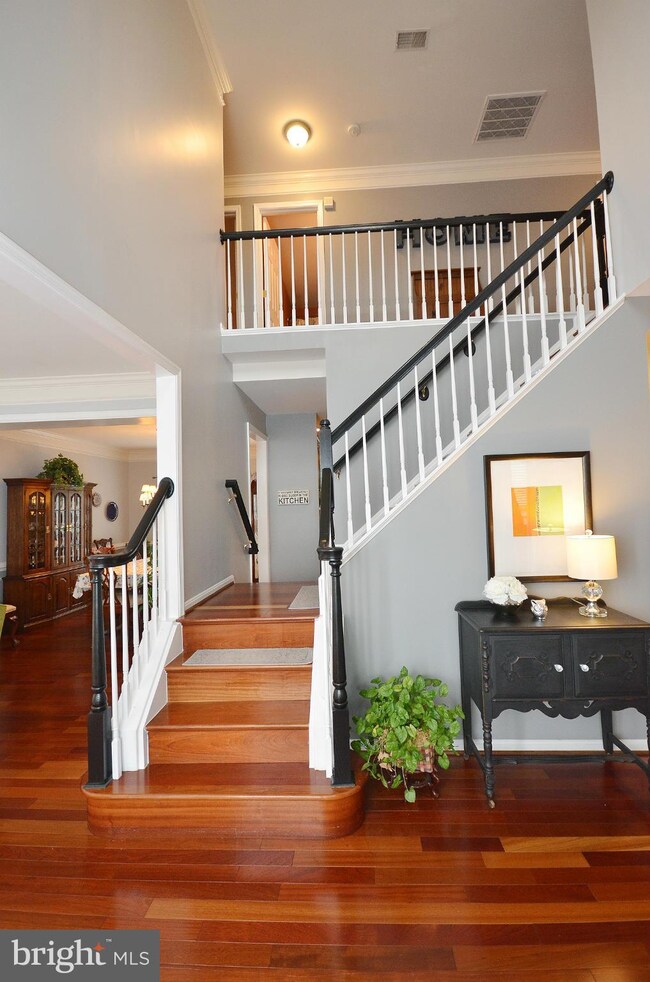 22051 Water Run Ct, Ashburn, VA 20148 - photo 4