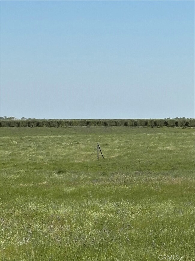 0 Manor Ln, Red Bluff, CA 96080 - photo 5