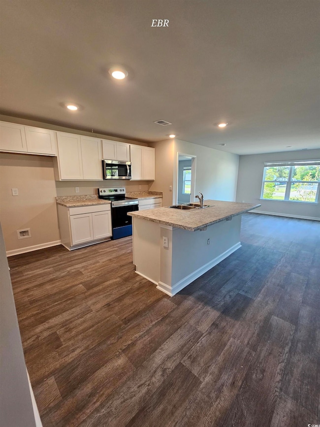 Kitchen featuring a sink, dark wood finished floor