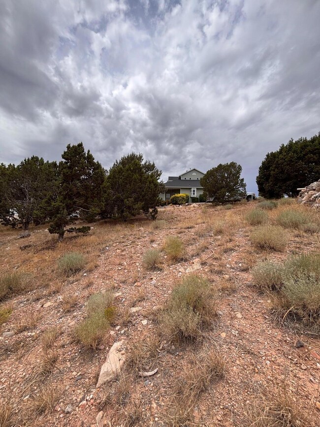 338 Pachea Cir, Cedar City, UT 84720 - photo 3