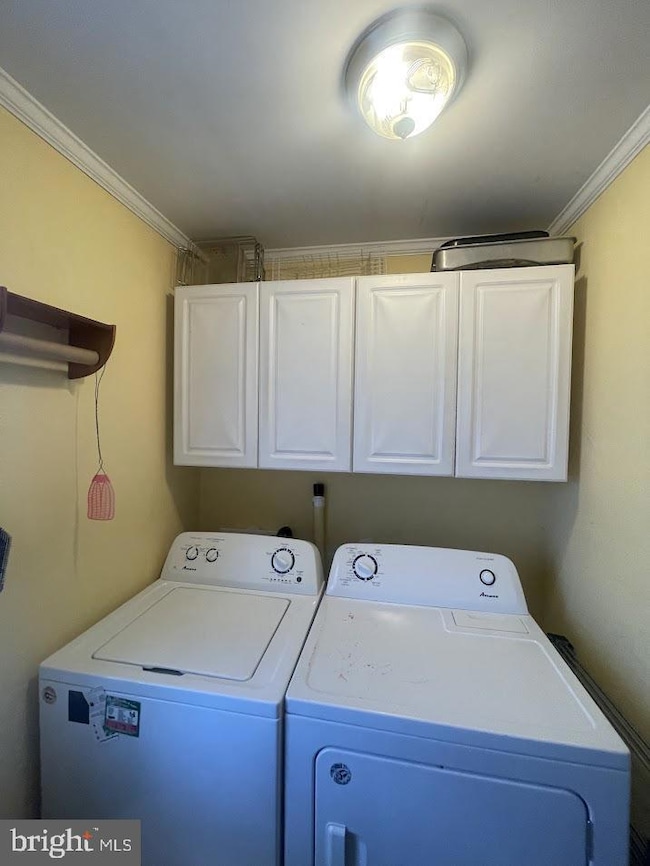 217 Gumboro Rd, Selbyville, DE 19975 - photo 7