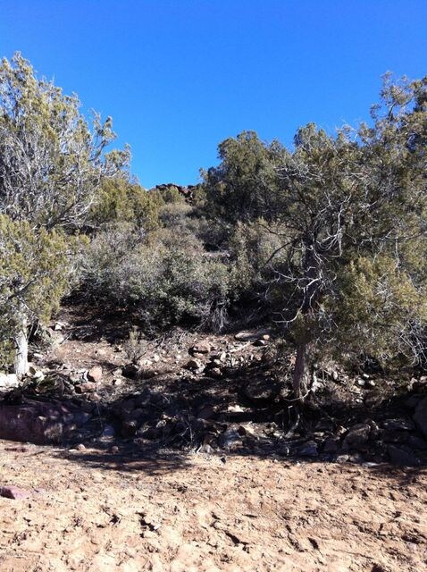 Lot 245 Badger Ridge Rd unit 245, Kingman, AZ 86401 - photo 2