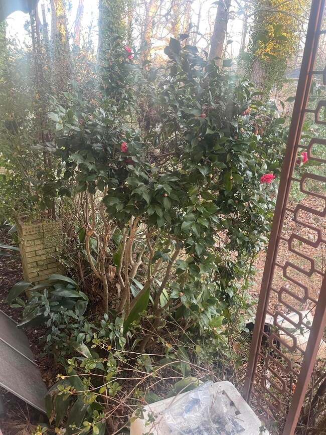 Yard-1