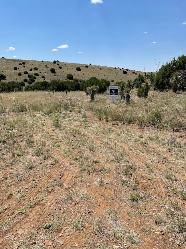 191 Kirkland Rd, Silver City, NM 88061 - photo 7