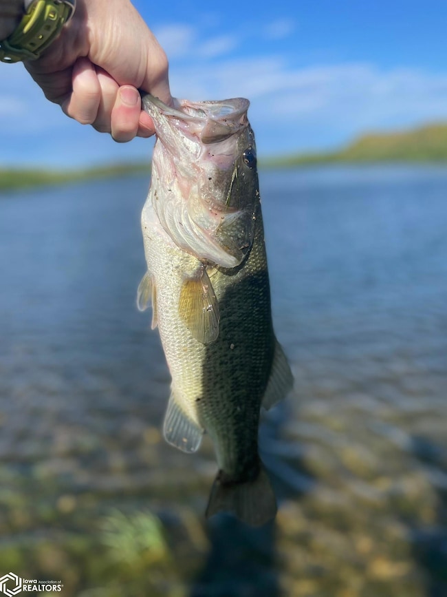 3215 305th St, Dows, IA 50071 - photo 4