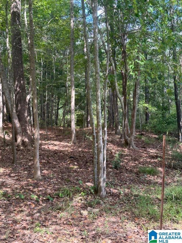 2227 Harris Wright Dr, Birmingham, AL 35242 - photo 3