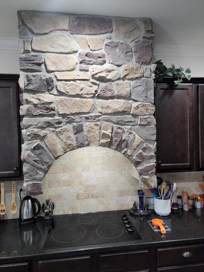 EXHAUST HOOD
