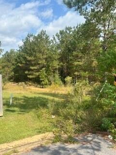 0 Ocho Rios, Pineville, LA 71360 - photo 6