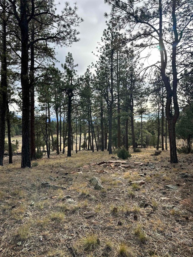 46 Marmot Dr, Loghill Village, CO 81432 - photo 5