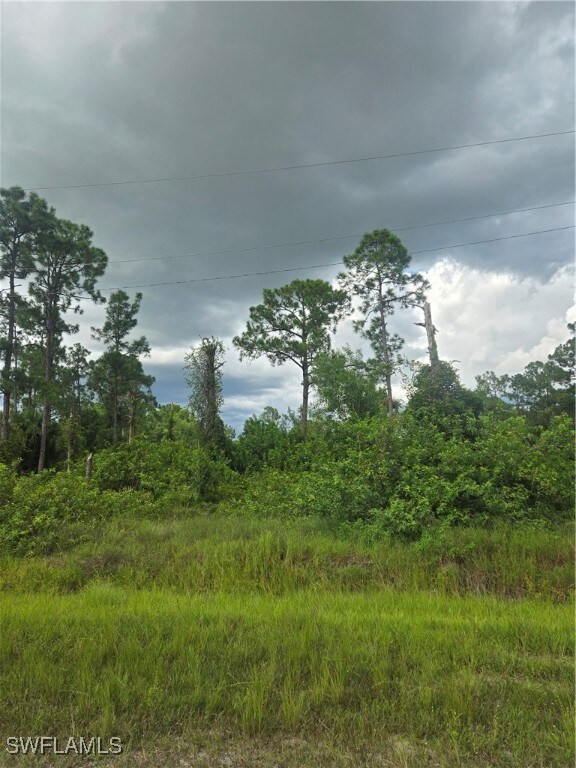 367 Eisenhower Blvd, Lehigh Acres, FL 33974 - photo 3