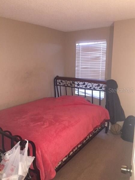 2332 Flamingo Lakes Dr, Kissimmee, FL 34743 - photo 6