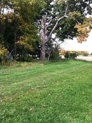 15249 1650 North Ave, Princeton, IL 61356 - photo 5