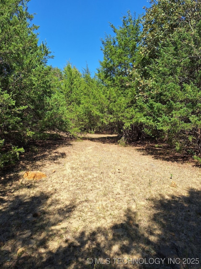 6611 County Road 3665, Allen, OK 74825 - photo 6