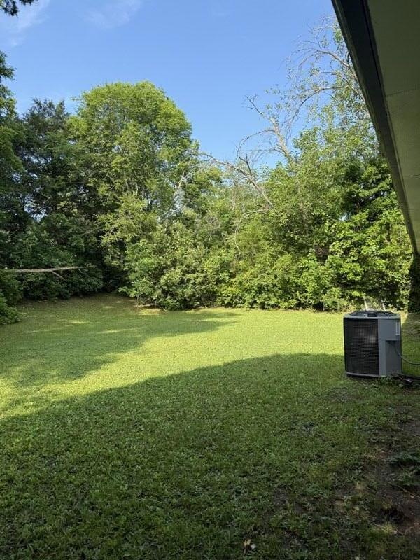 Backyard1