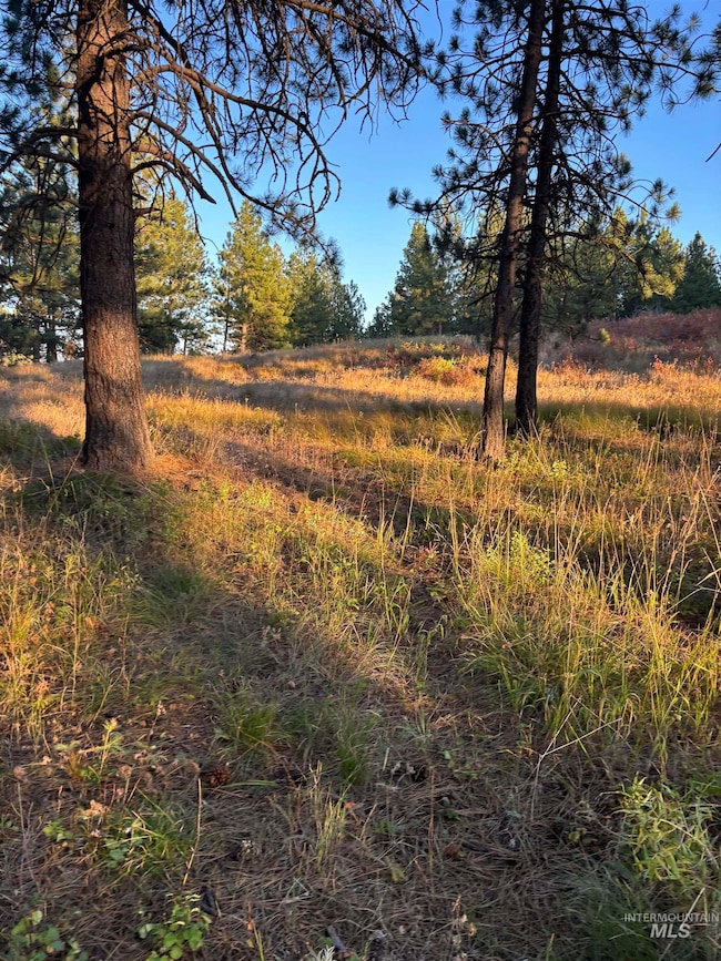 TBD, Asotin, WA 99402 - photo 4