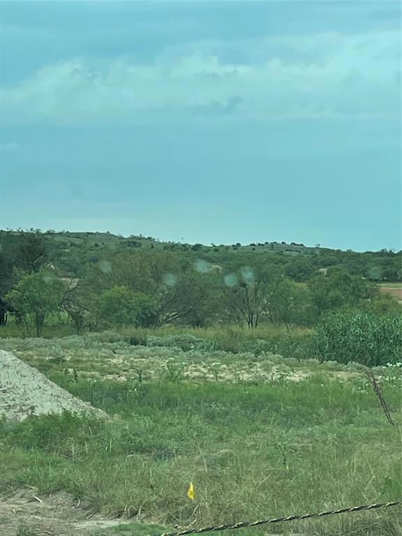 100 Tobiano Trace, Brock, TX 76087 - photo 5