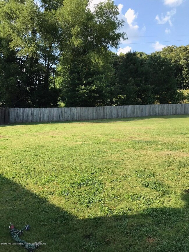 3412 Pendulum Dr E, Hernando, MS 38632 - photo 4