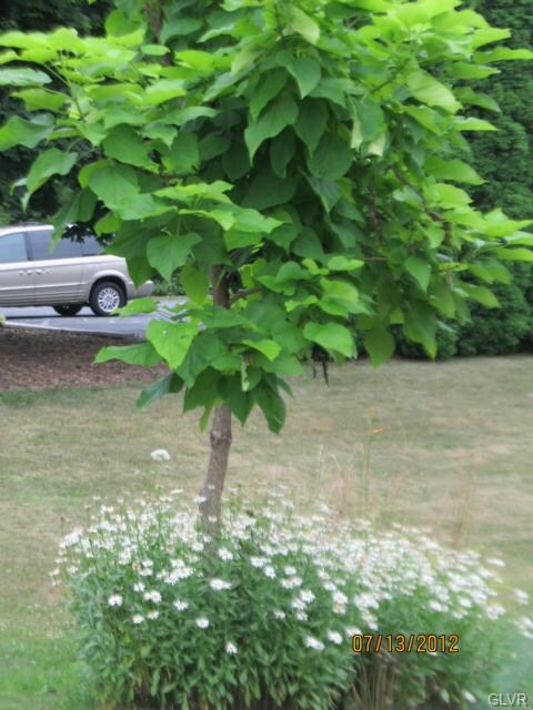 5275 Townsquare Dr, Macungie, PA 18062 - photo 6