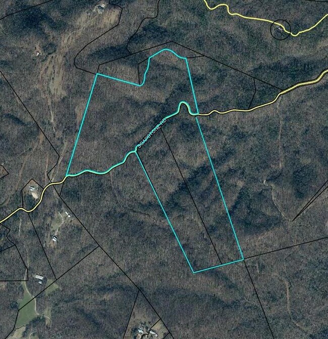 Aerial view of a forest and mountains