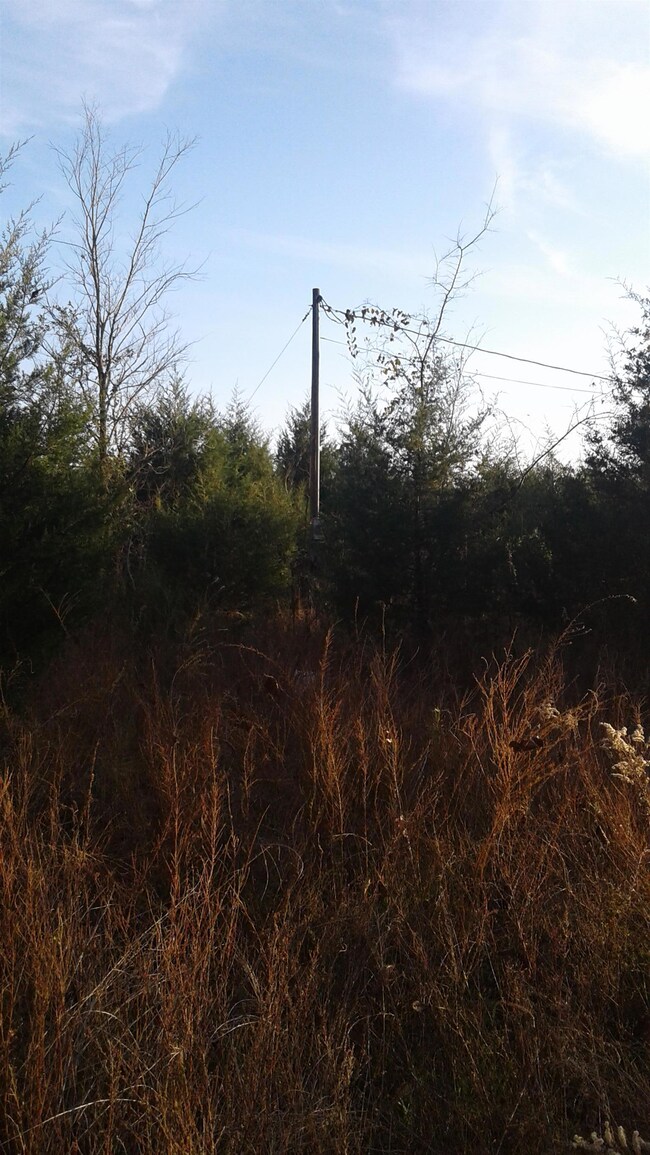 Land has electricity