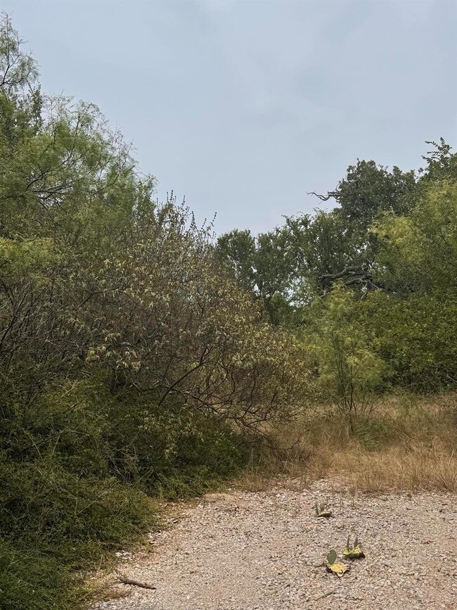 View of local wilderness