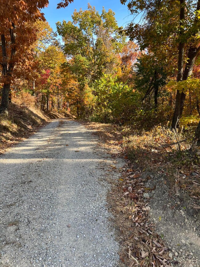 D9F5A2AC-4368-4B59-8A5E-411C539853B8