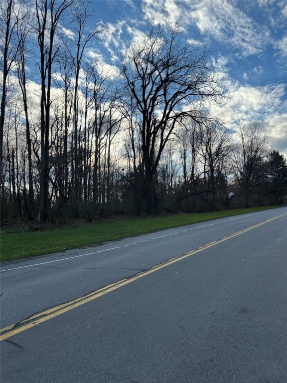 Lot #30 Maple Dr, Webster, NY 14580 - photo 3