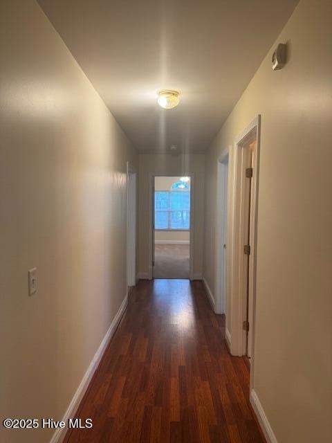 113 Red Bird Ln, Hampstead, NC 28443 - photo 7