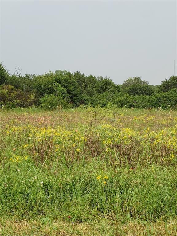 136 Mesquite Trail, Weatherford, TX 76087 - photo 3