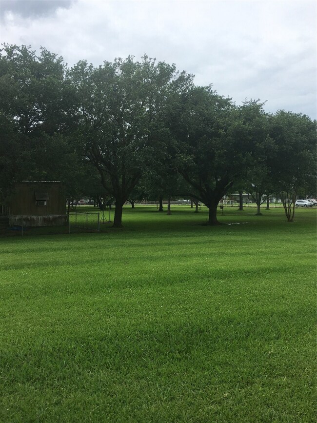6603 County Road 168, Alvin, TX 77511 - photo 3