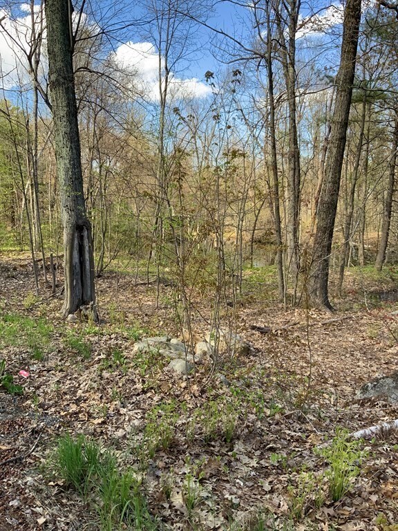 102 Knower Rd, Westminster, MA 01473 - photo 6