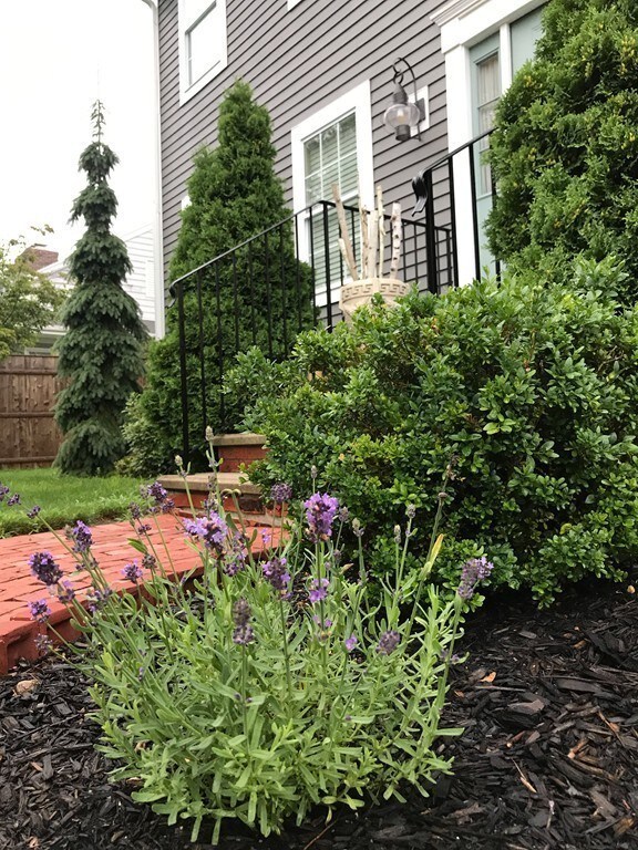 52 Brownell Ave, New Bedford, MA 02740 - photo 7