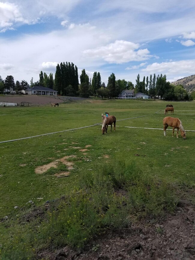 PGrveNWviews