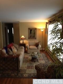 Light filled Living Area.