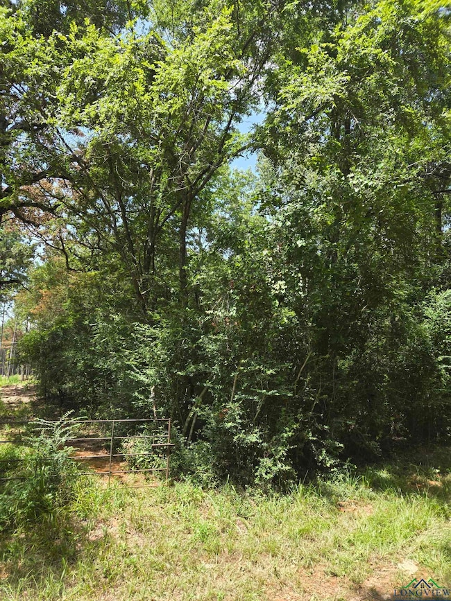View of nature