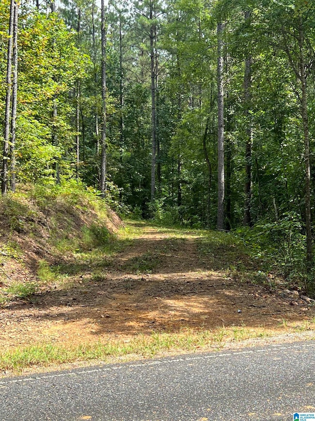 740 Sweet Apple Rd unit 1, Cropwell, AL 35054 - photo 3