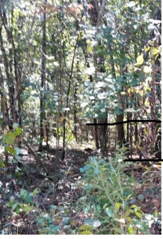 0 County Road 797, Powell Township, AR 72417 - photo 4