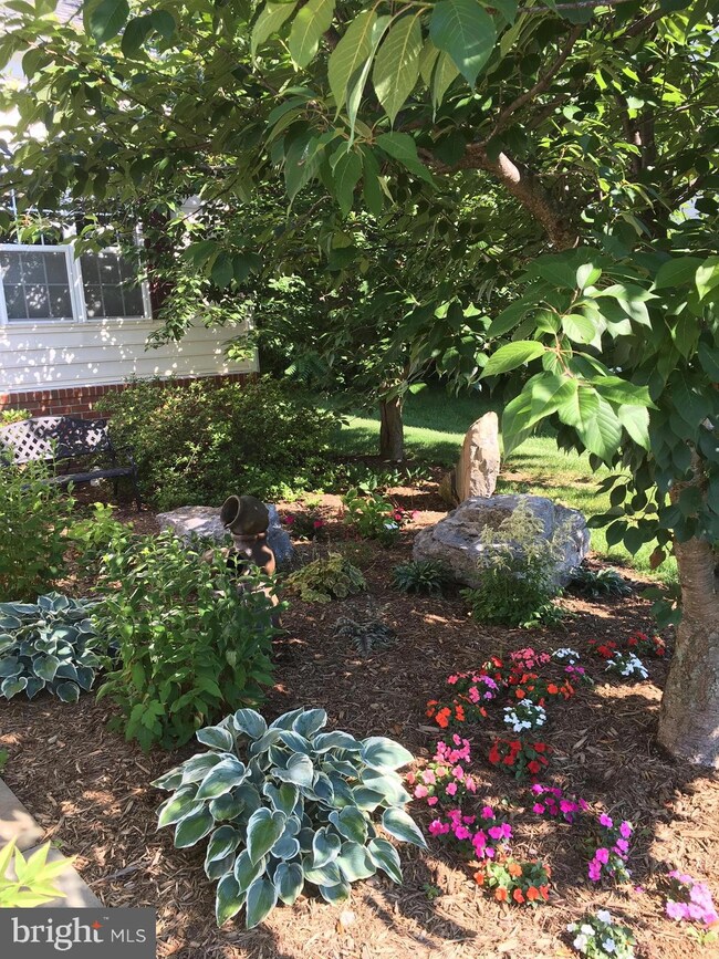 1913 Harvest Dr, Winchester, VA 22601 - photo 4