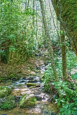 Incredible creek that runs right past the house