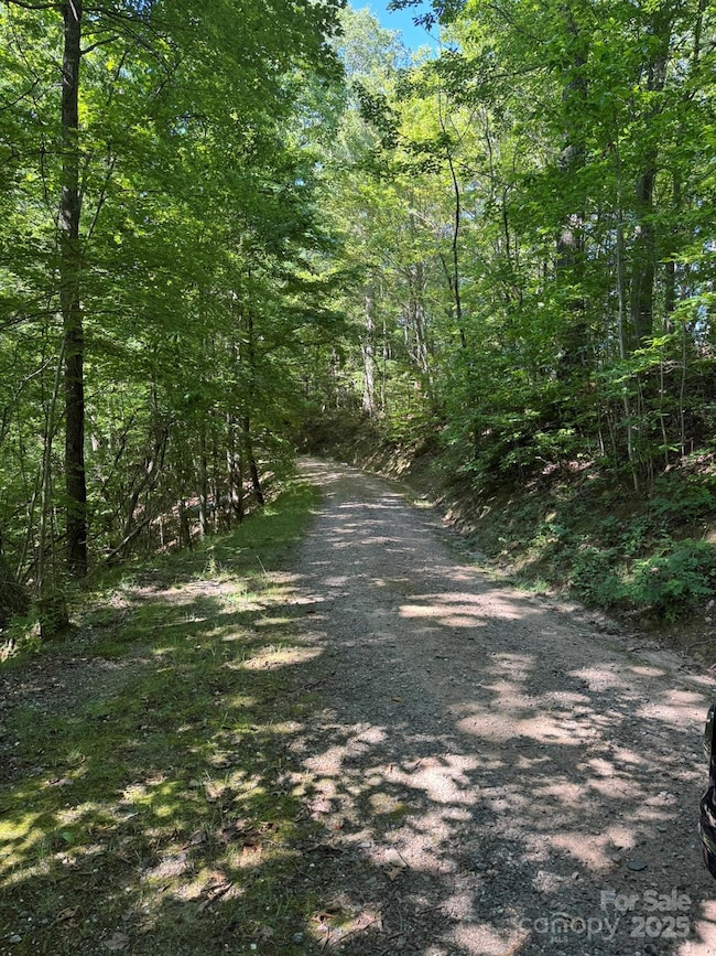 97 Hosta Dr, Sylva, NC 28779 - photo 5