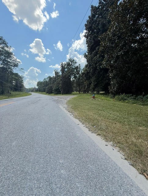 110 Magnolia Dr, McIntyre, GA 31054 - photo 5