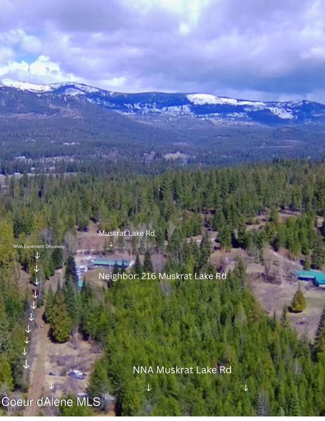 Property and Neighbor View
