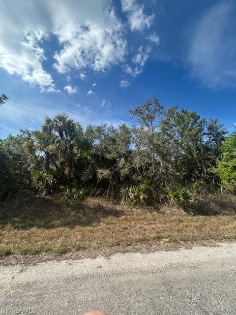 View of nature