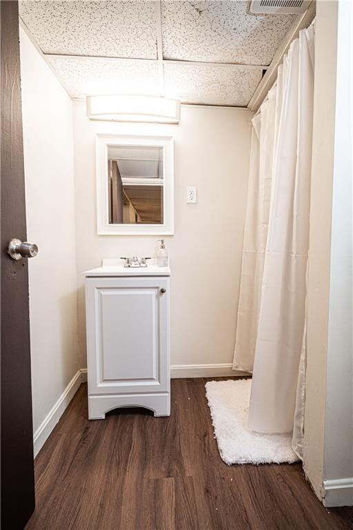 Lower level bathroom