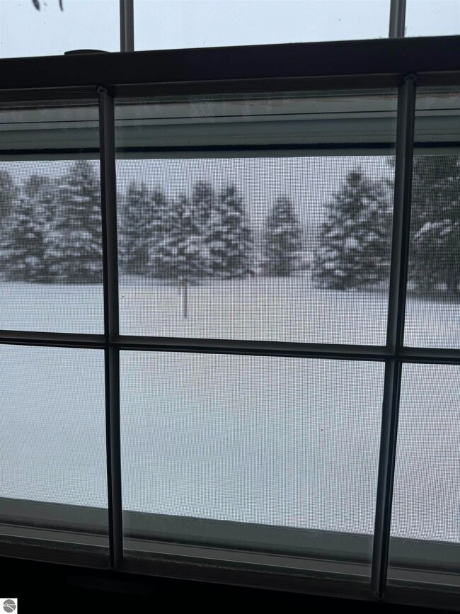 515 Thumb Lake Rd, Vanderbilt, MI 49795 - photo 4