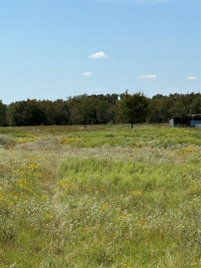 FCR 181 Streetman, Streetman, TX 75859 - photo 6