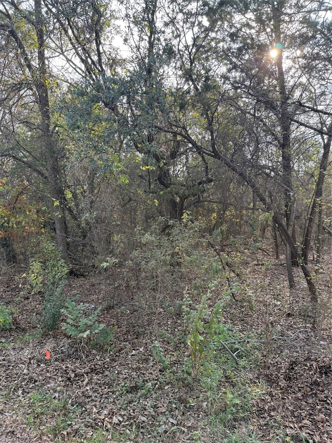 4948 Cimmaron Trail, Weatherford, TX 76087 - photo 3